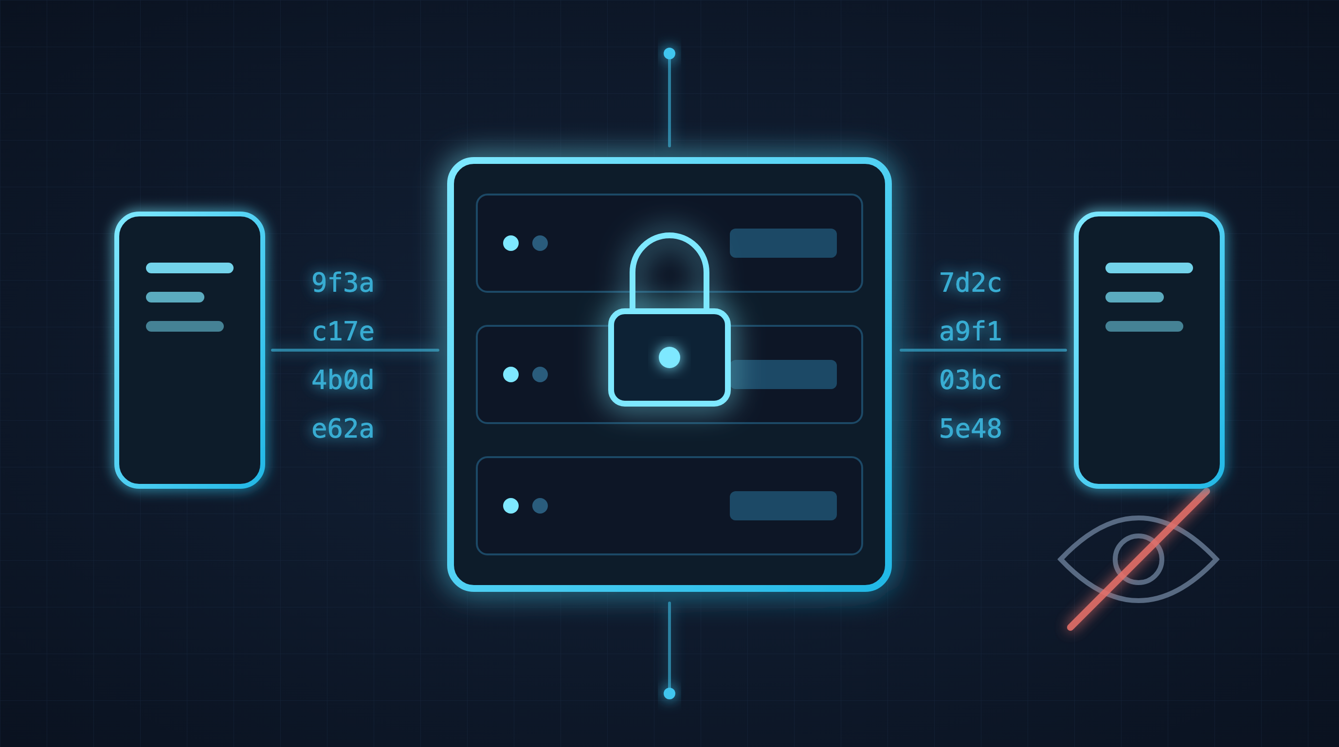 What an Encrypted Server Can and Cannot Know
